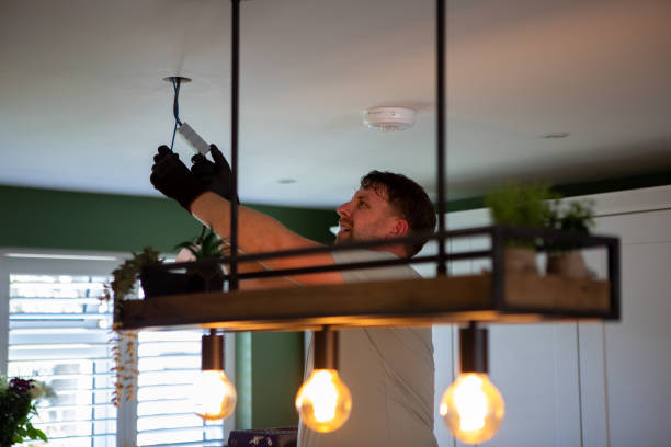 Best Electric Panel Repair  in Auxvasse, MO